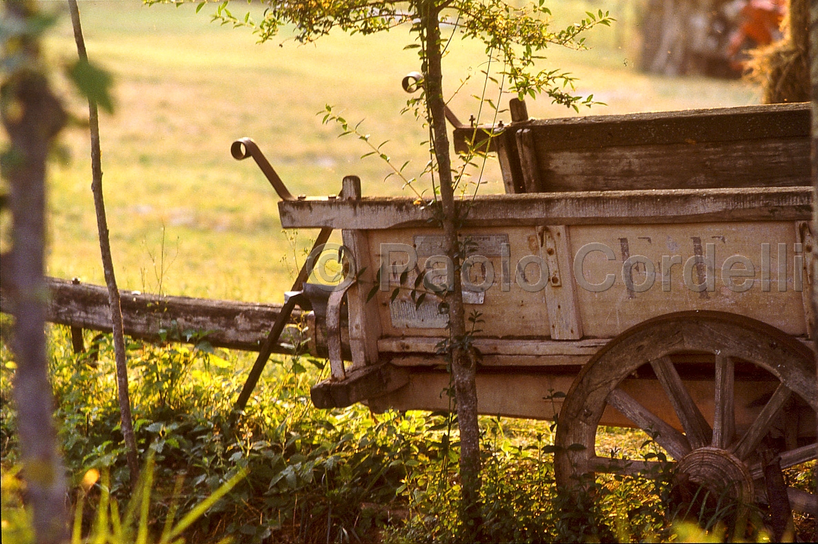 Hay wagon, Tuscany, Italy
 (cod:Tuscany 07)